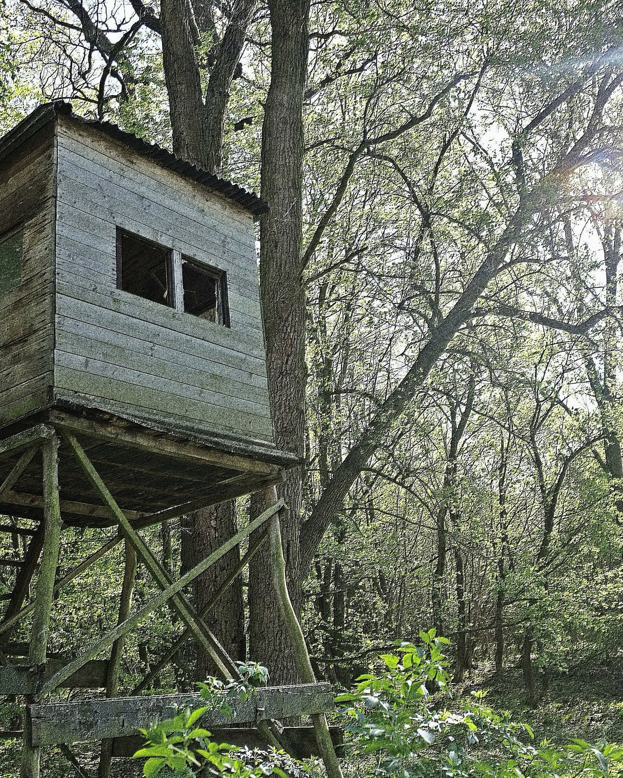 skoro ako malý domček