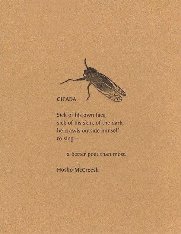 a better poet than most