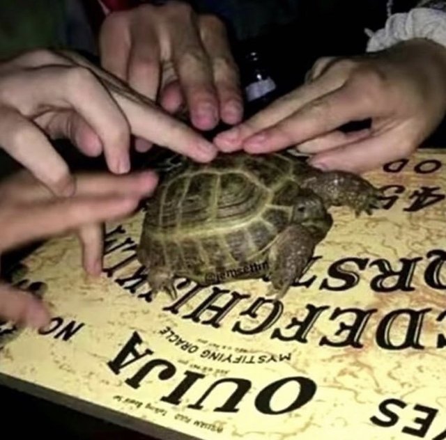 Obrázok bez popisu č.1074822