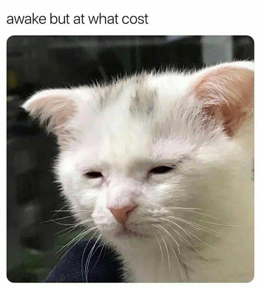 Ďalší deň