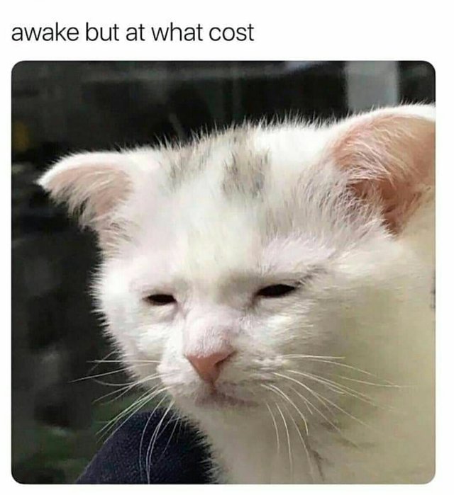 Ďalší deň