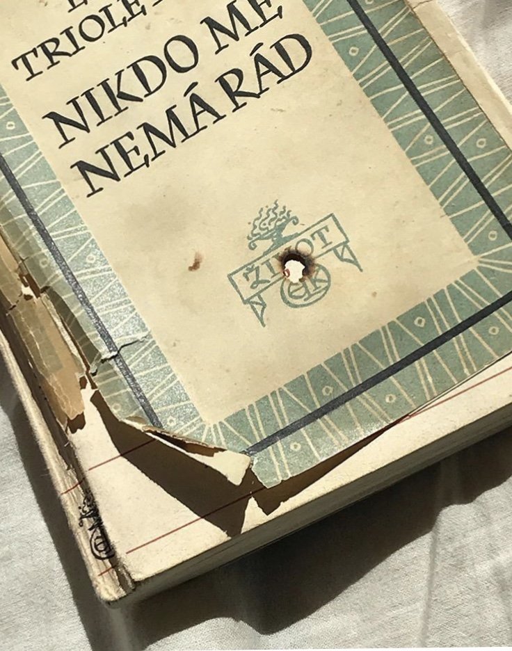 prepálené životom 