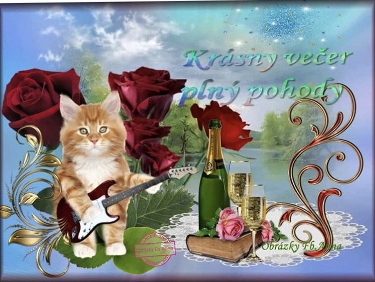 Mačka, víno, kniha, všetko..