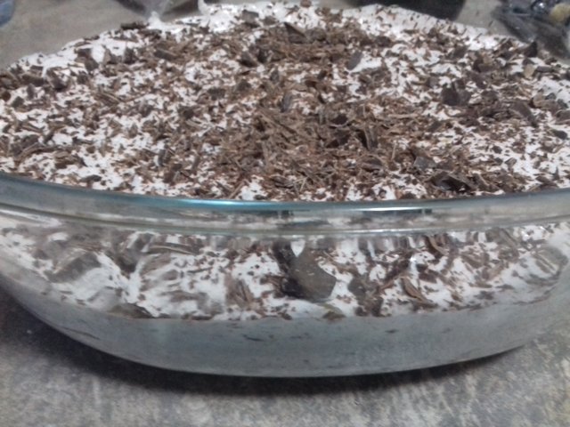 Mal to byt cokoladovy cheesecake, je to stracatellovy bebe keksovy zakusok :D cela ja..