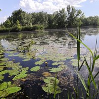 ako hovoria Turčania: Ľeto
