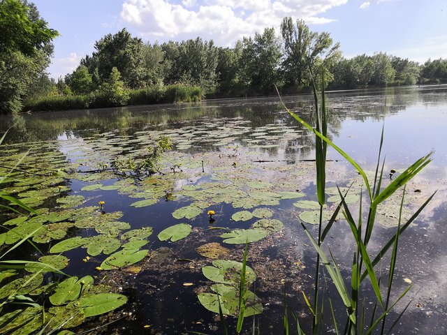 ako hovoria Turčania: Ľeto
