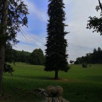 Srdce z pňa - Smolenice 