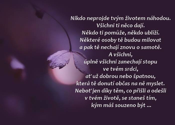 Obrázok bez popisu č.1005224
