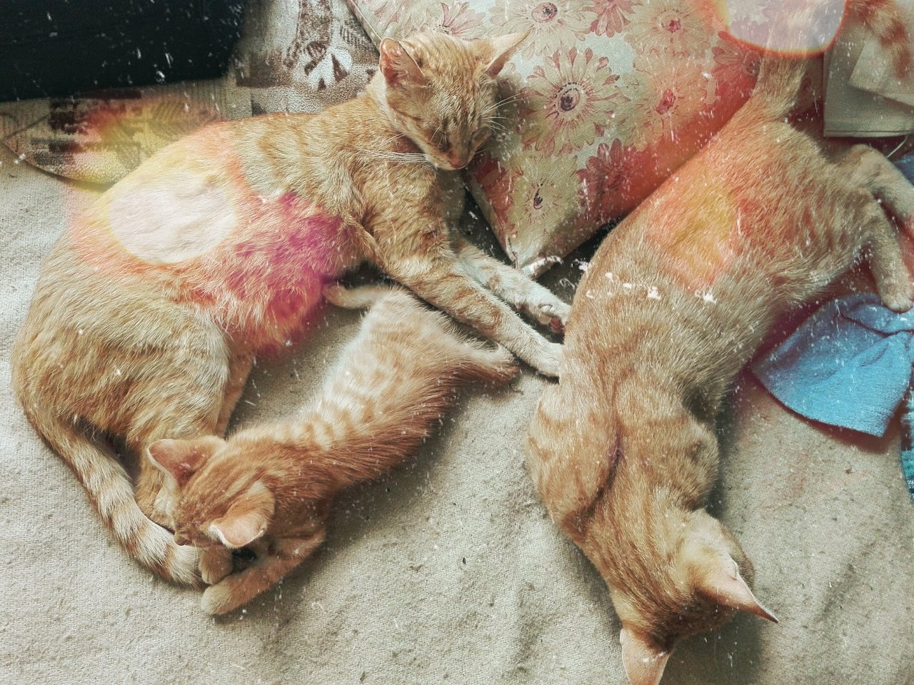 <3