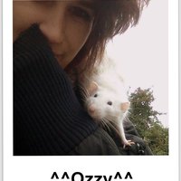 drobec :3