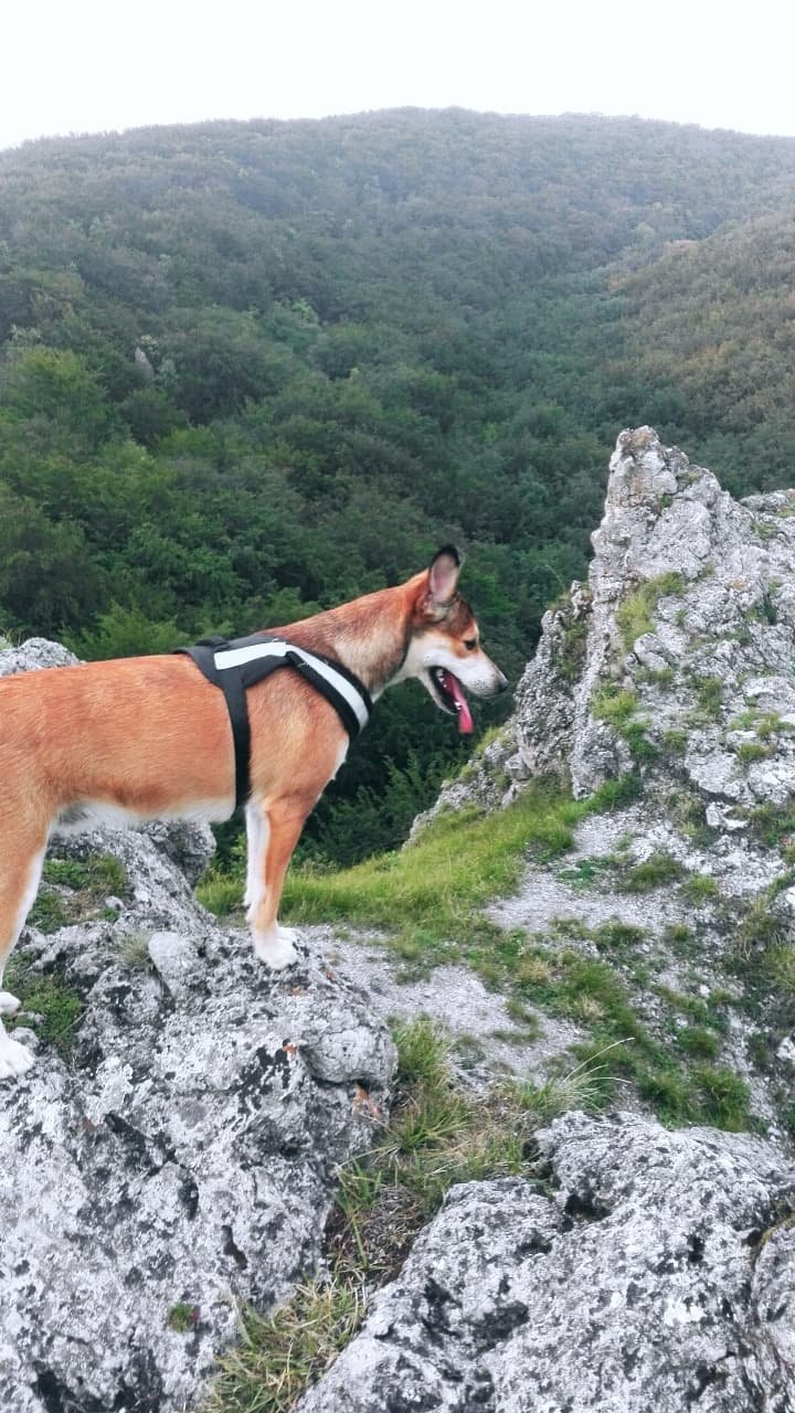 Sme sa trošku potulovali po skalách