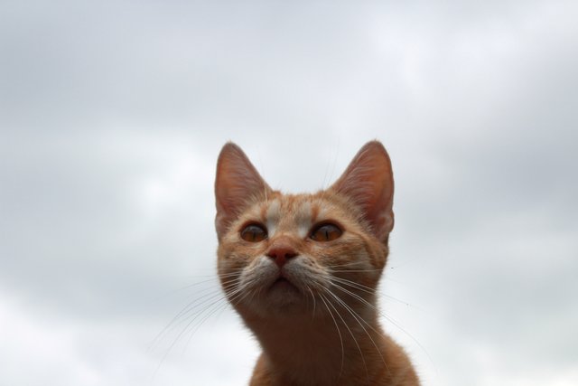 :)