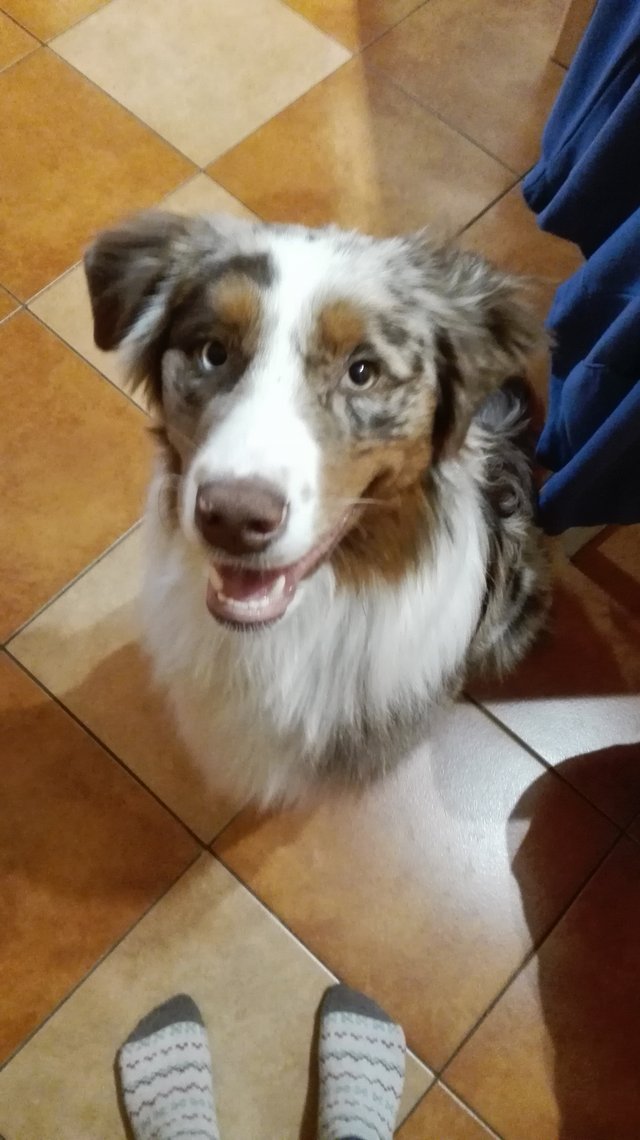 Fešáčik ❤
