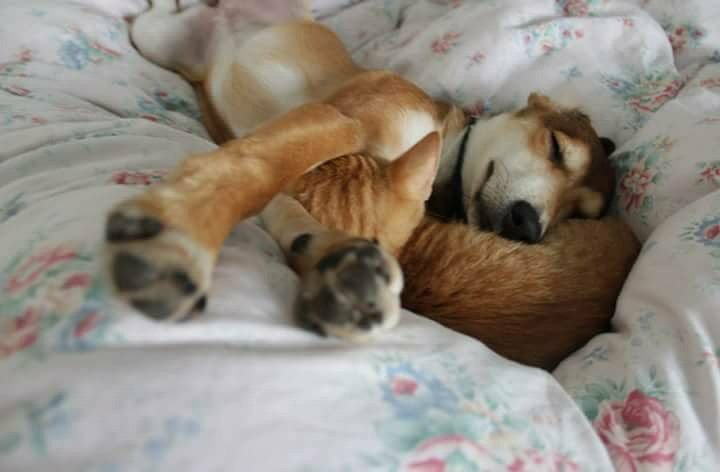 lásky <3