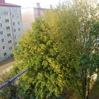 Birdz výzva c.4 :)