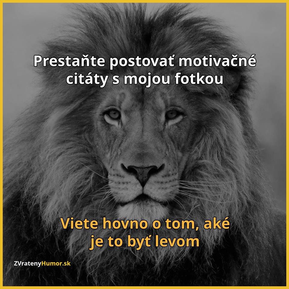Obrázok bez popisu č.1008917