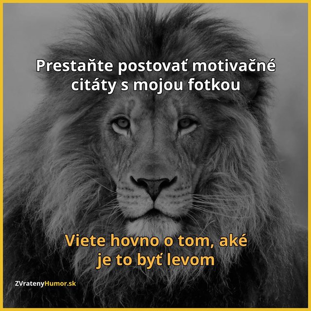 Obrázok bez popisu č.1008917