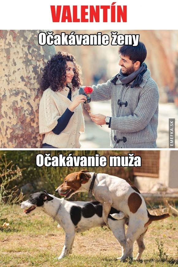 no čo kurac