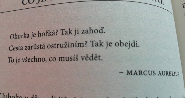 Proste maj v p###