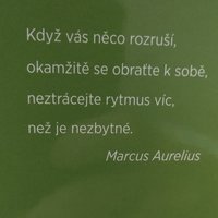 Len tak, aby bol príspevok. 