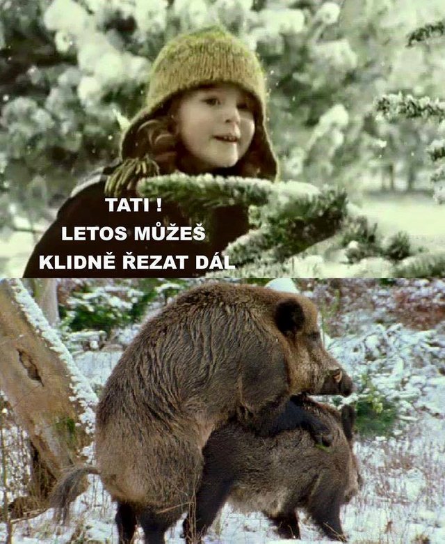 Obrázok bez popisu č.1005366