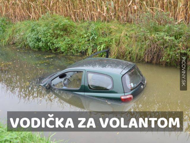 na vychode borovicka s rumom na zapade bongo s pikom