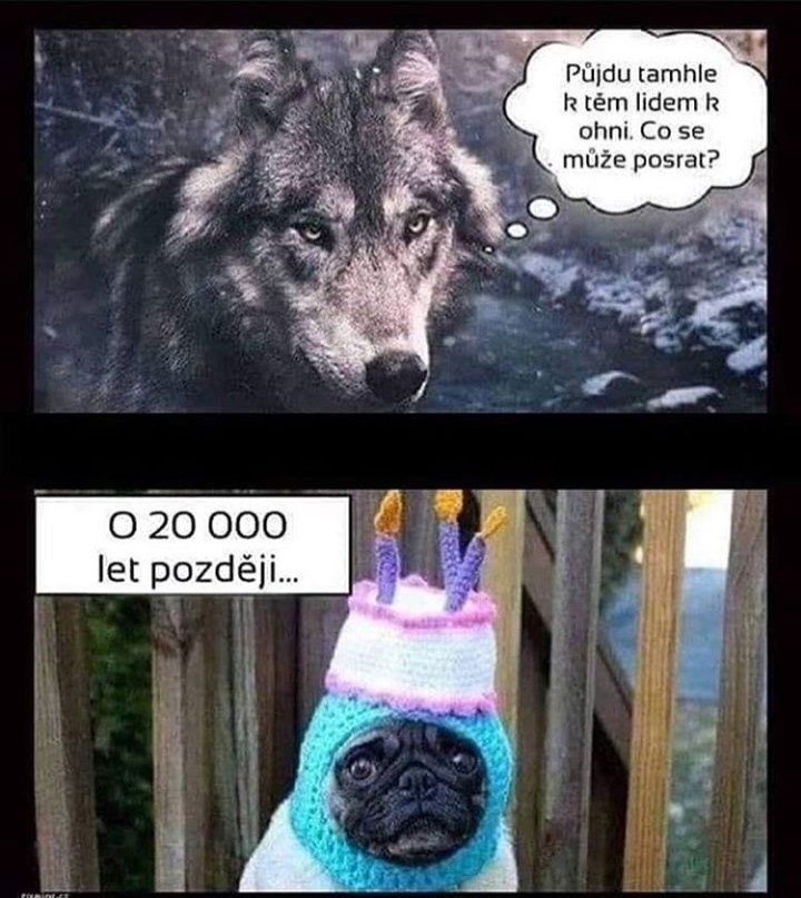 Chyba. Veľká chyba. 
