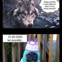 Chyba. Veľká chyba. 