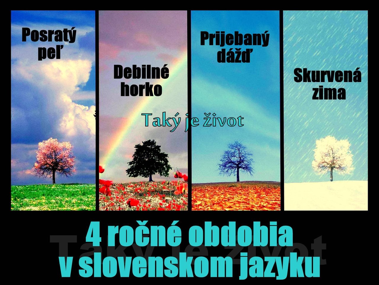 Obrázok bez popisu č.1001699