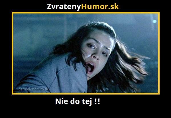 Obrázok bez popisu č.1001698