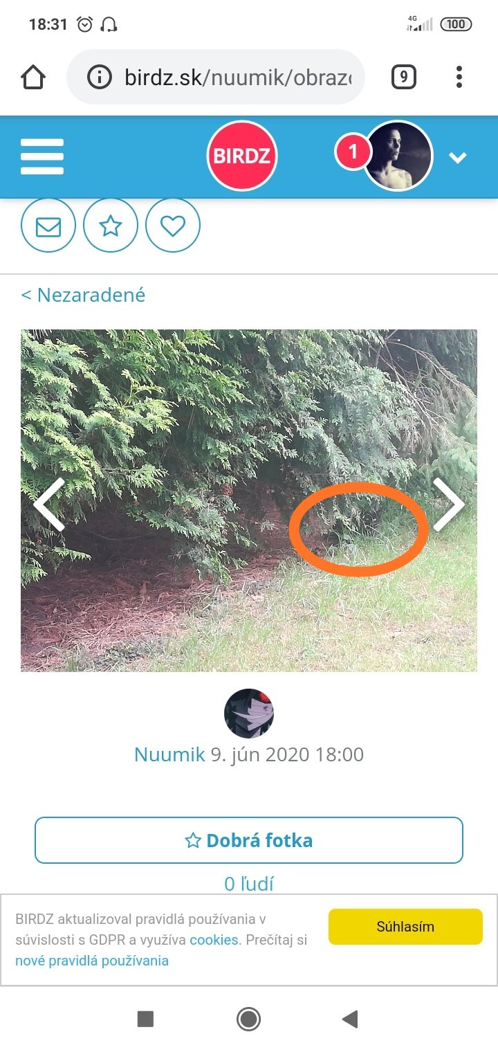 Tam je tá bzdocha :-) 