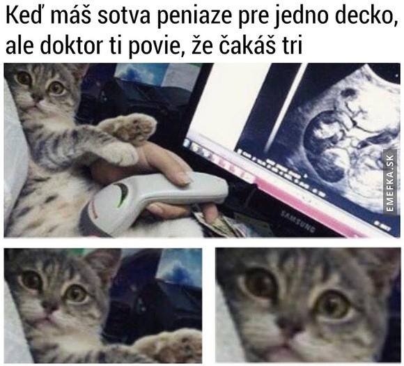 a kto to budde živiť? 