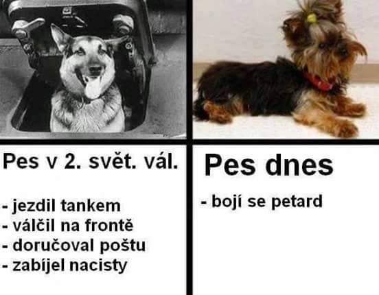 Dnešní psi už nejsou co bývali.