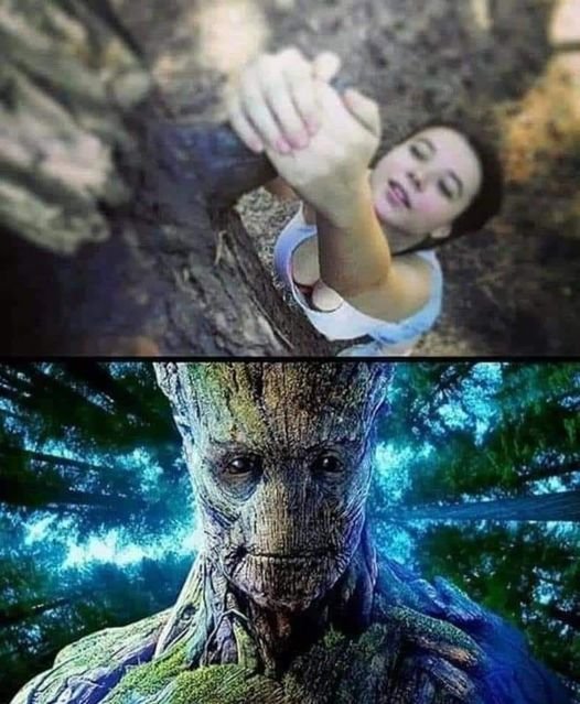 taká menšia haluz 