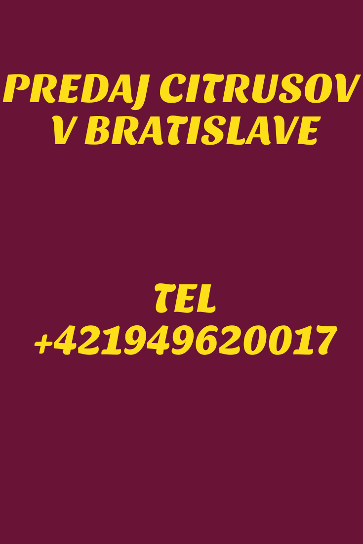 Obrázok bez popisu č.1068051