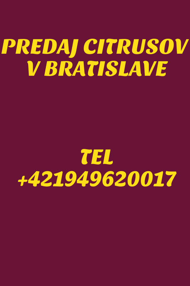 Obrázok bez popisu č.1068051