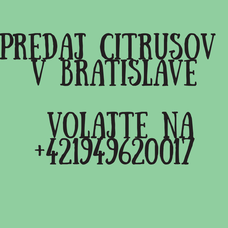 Obrázok bez popisu č.1068064