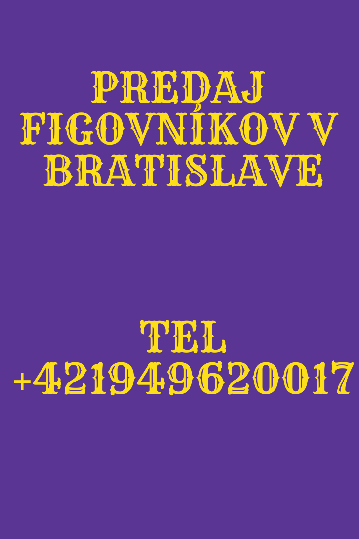 Obrázok bez popisu č.1068053