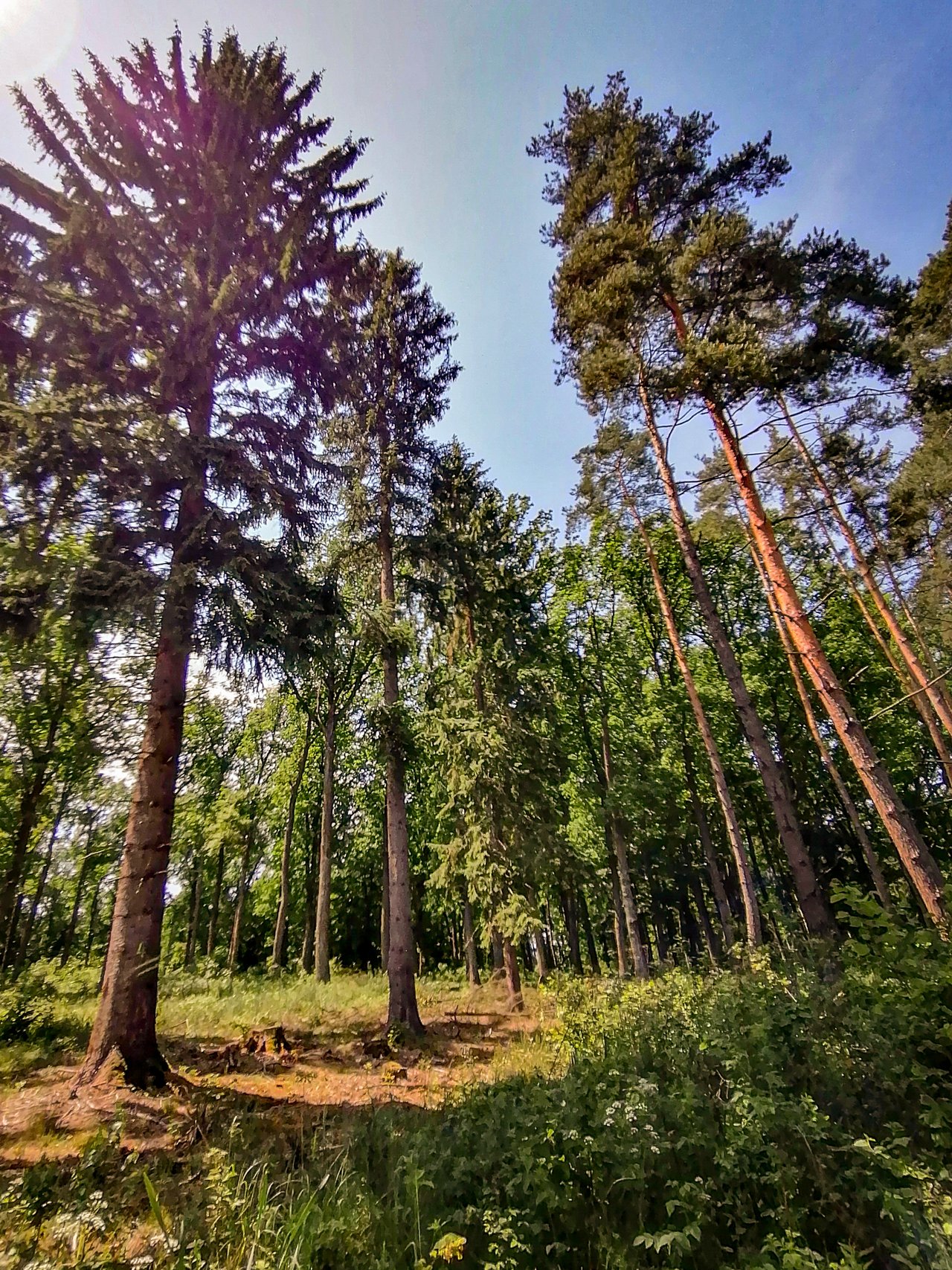 Obrázok bez popisu č.1072988