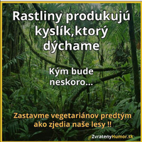 Toto je reupload foto. Pôvodnú som omylom vymazal.