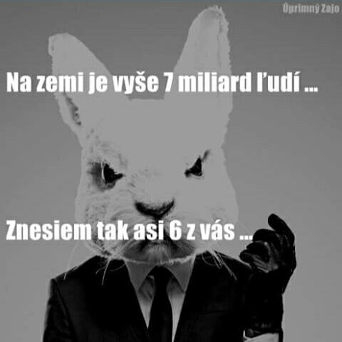 Obrázok bez popisu č.1029125