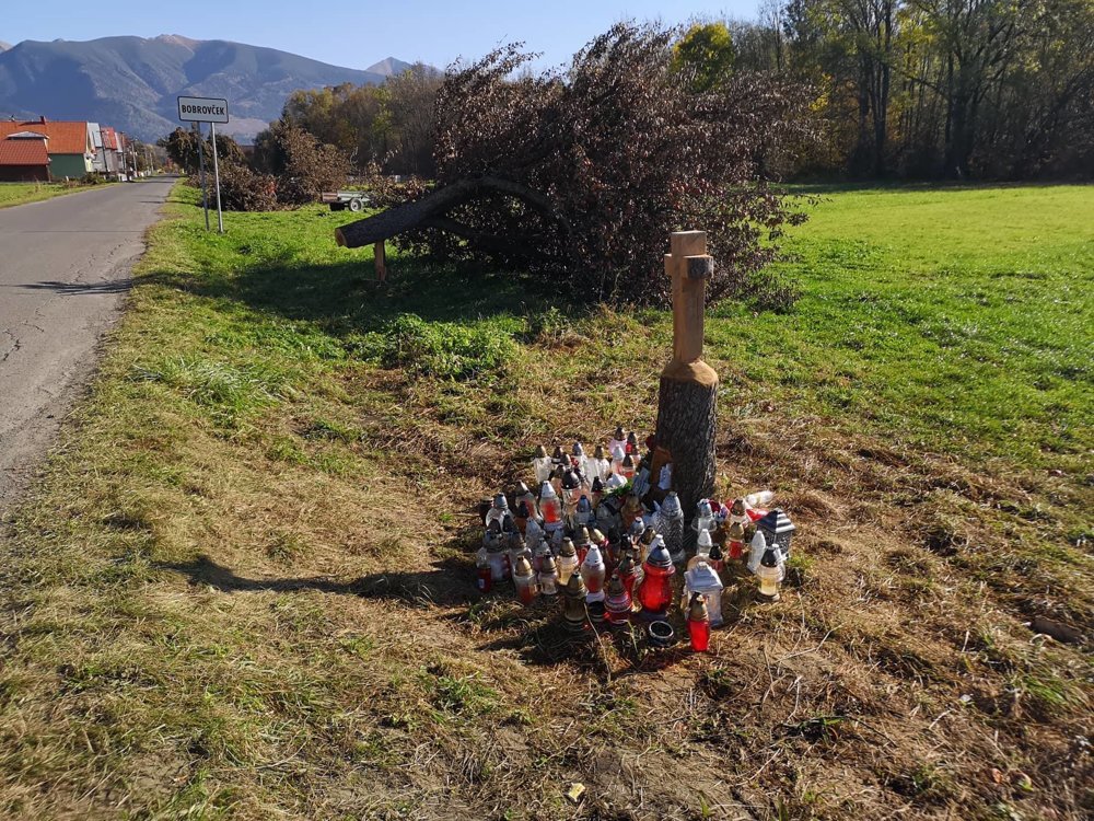 Vyrúbané stromy pri Bobrovčeku!