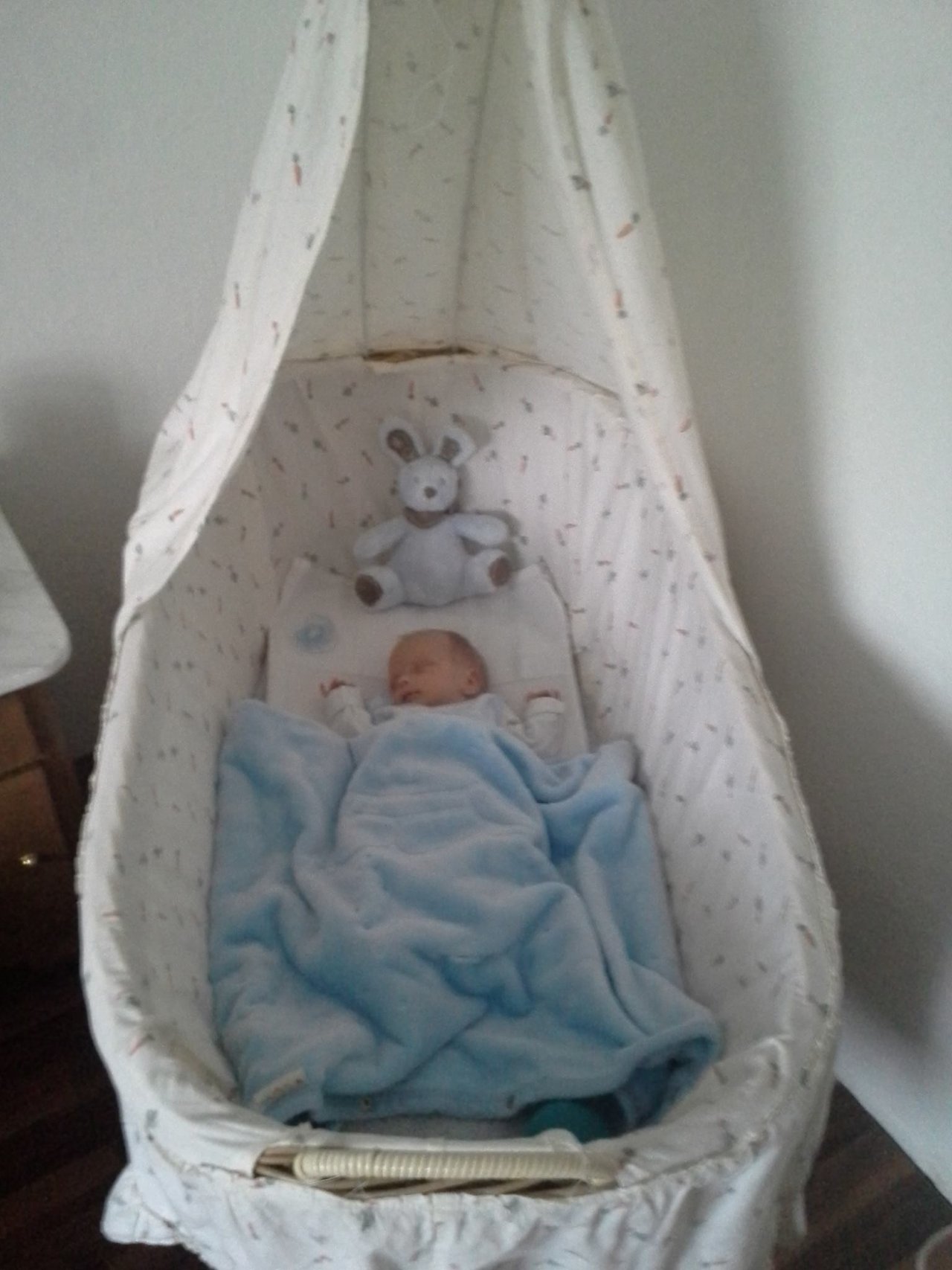 Moj kedysi 700g brat