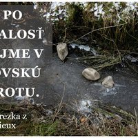 Web: http://terezka.kkp.sk/