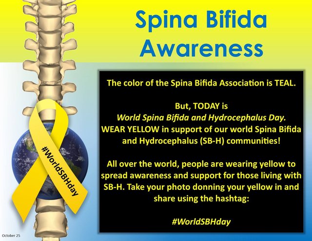 #WorldSBHday  :-)
Slovenské info tu: http://www.sbah.sk/