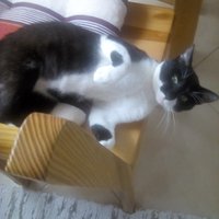 Ukážka z nezaradených obrázkov