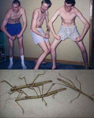 Miesiči :D :D