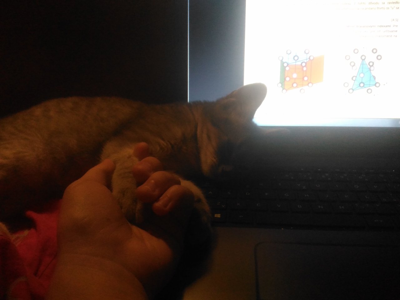 Mačka drž ma bo ma jebne. Inak povedané dnes to začalo :( upokojte ma a povedzte mi ze nie som jedina ktorej zacal semester a buduci tyzden je prvy test :(