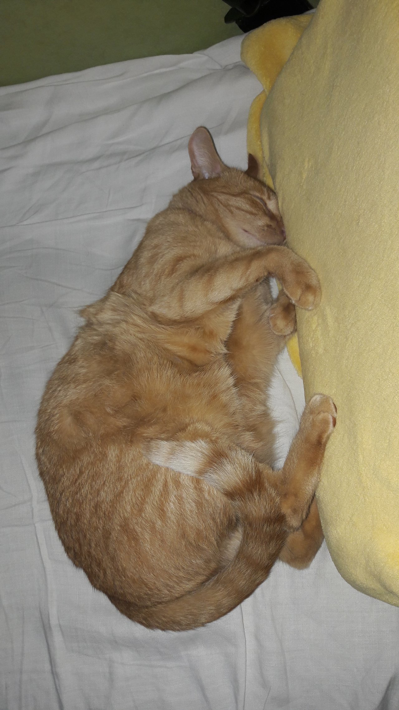 Obrázok bez popisu č.1012377