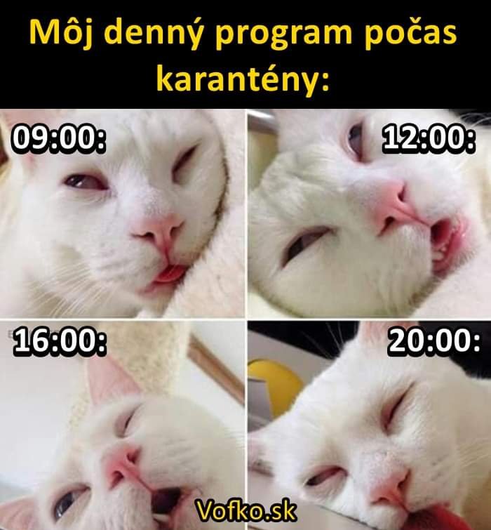 Obrázok bez popisu č.1070386